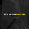 After the Storm - Single album lyrics, reviews, download