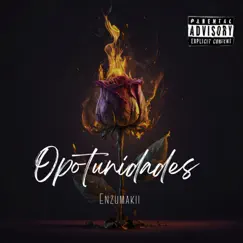 Oportunidades - Single by Enzumakii album reviews, ratings, credits