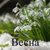 Весна - Single album lyrics, reviews, download