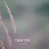 Calm Soul - Single album lyrics, reviews, download