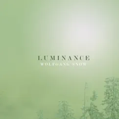 Luminance - Single by Wolfgang Snow album reviews, ratings, credits