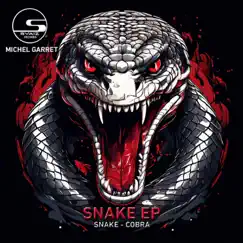 Snake EP by Michel Garret album reviews, ratings, credits