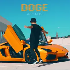 Doge - Single by VETALEJ album reviews, ratings, credits