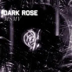 Dark Rose Song Lyrics