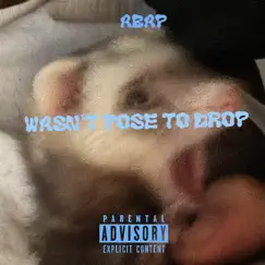 Wasn’t Pose To Drop - EP by ABAPCHILD album reviews, ratings, credits