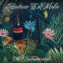 The Instrumentals - Single by Andrew Dimola album reviews, ratings, credits