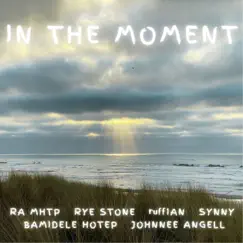 In the Moment (feat. RA MHTP, Rye Stone, Johnnee Angell, Bamidele Hotep, Synny & ruffIAN) - Single by Shady Manila Records album reviews, ratings, credits