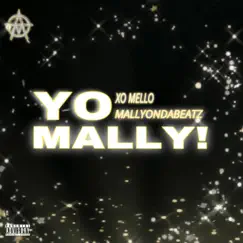 YO MALLY! (A Capella) Song Lyrics