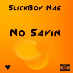 No Savin Song Lyrics