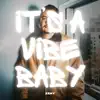 It's a Vibe Baby - Single album lyrics, reviews, download