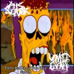 Face Melting Two Way Split - EP by Pus Sliver album reviews, ratings, credits