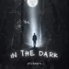 In the Dark - Single album lyrics, reviews, download