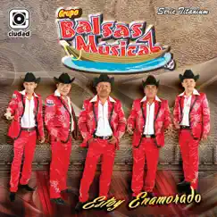 Estoy Enamorado by Grupo Balsas Musical album reviews, ratings, credits