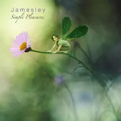 Simple Pleasures - Single by Jamesley album reviews, ratings, credits