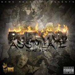Assimilate (Rolaz Remix) - Single by Phalynx album reviews, ratings, credits