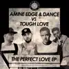 The Perfect Love album lyrics, reviews, download