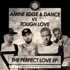 The Perfect Love by Amine Edge & DANCE & Tough Love album reviews, ratings, credits