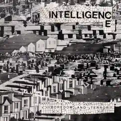Boredom and Terror / Let's Toil (Remastered) by The Intelligence album reviews, ratings, credits