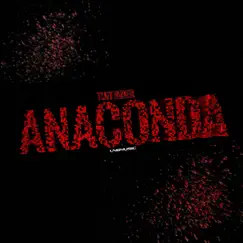 Anaconda (RainDropz! Remix Edit) Song Lyrics