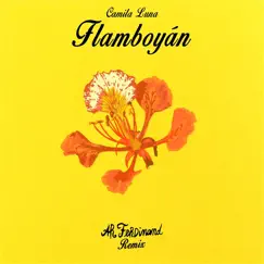 Camila Luna - Flamboyán (AR Ferdinand Remix) [AR Ferdinand Remix] - Single by Camila Luna & AR Ferdinand album reviews, ratings, credits
