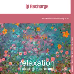 Qi Recharge - EP by Relaxation Sleep Meditation album reviews, ratings, credits