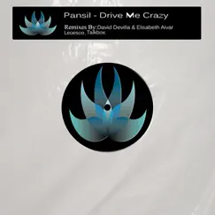 Drive Me Crazy (Leoesco Remix) Song Lyrics
