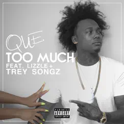 Too Much (feat. Lizzle & Trey Songz) Song Lyrics