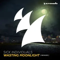 Wasting Moonlight (Andrew Rayel Remix) Song Lyrics
