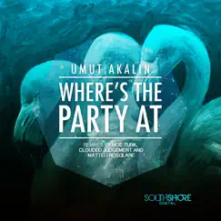 Where's the Party At (Matteo Rosolare) Song Lyrics