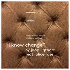 I Know Change (Him_Self_Her Remix) [feat. Alice Rose] Song Lyrics