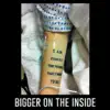 Bigger on the Inside (feat. Zoë Keating) - Single album lyrics, reviews, download