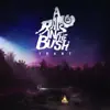 A Ram in the Bush album lyrics, reviews, download
