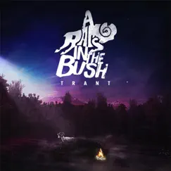 A Ram in the Bush by Trant album reviews, ratings, credits