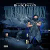 The Bird of Prey album lyrics, reviews, download