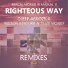 Righteous Way (The Remixes) album lyrics, reviews, download