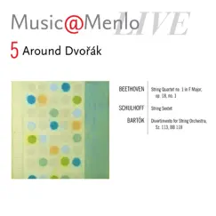 Divertimento for String Orchestra, Sz. 113, B-Flat 118: II. Molto adagio (Live) Song Lyrics