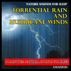 Nature Sounds for Sleep: Torrential Rains and Hurricane Winds by Amadeus album reviews, ratings, credits