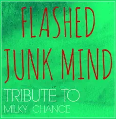 Flashed Junk Mind - Single by Starstruck Backing Tracks album reviews, ratings, credits