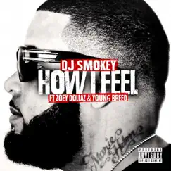 How I Feel (feat. Zoey Dollaz & Young Breed) - Single by Dj Smokey album reviews, ratings, credits