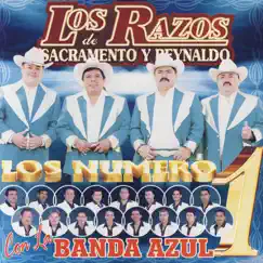 Los Numeros 1 by Los Razos & La Banda Azul album reviews, ratings, credits