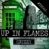 Up in Flames - Single album lyrics, reviews, download