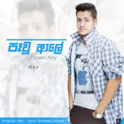 Paayu Aley Song Lyrics