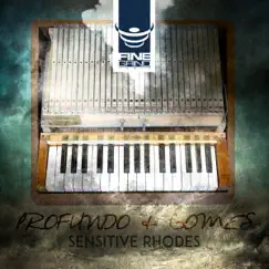 Sensitive Rhodes by Profundo & Gomes album reviews, ratings, credits