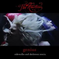 Genius (Sidewalks & Skeletons Remix) Song Lyrics