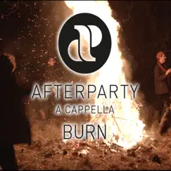 Burn - Single by Afterparty album reviews, ratings, credits