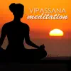 Vipassana Meditation - Music for Inner Insight, Mindful Meditations album lyrics, reviews, download