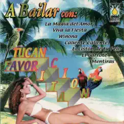 A Bailar con Tucancion by Los Reyes de La Radio & Los Reyes De Nuevo Leon album reviews, ratings, credits