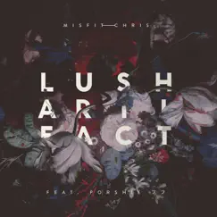 Lush Artifact (feat. Dubmood) by MisfitChris album reviews, ratings, credits