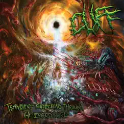 Transient Suffering Through the Ergosphere by CUFF album reviews, ratings, credits