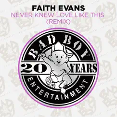 Never Knew Love Like This (Remix) - EP by Faith Evans album reviews, ratings, credits